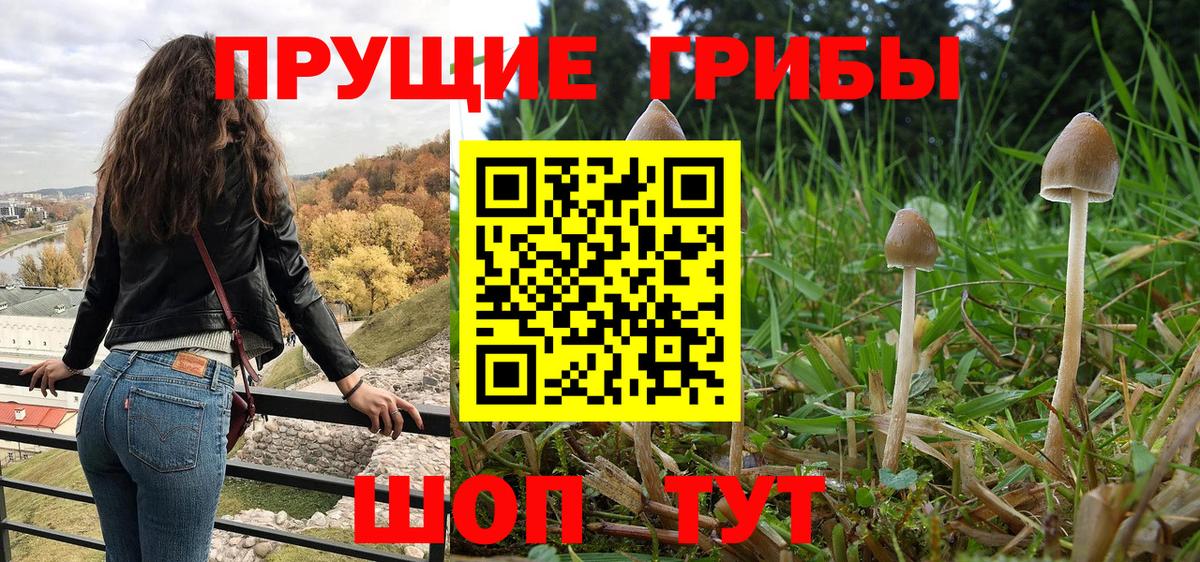 Псилоцибиновые грибы мицелий  Вход с VPN  Псилоцибиновые грибы Cubensis  Новоалтайск 